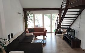 Attic Parkview Apartment